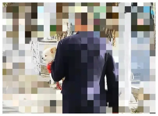 狗命与人的安全，啥应该放在首位？