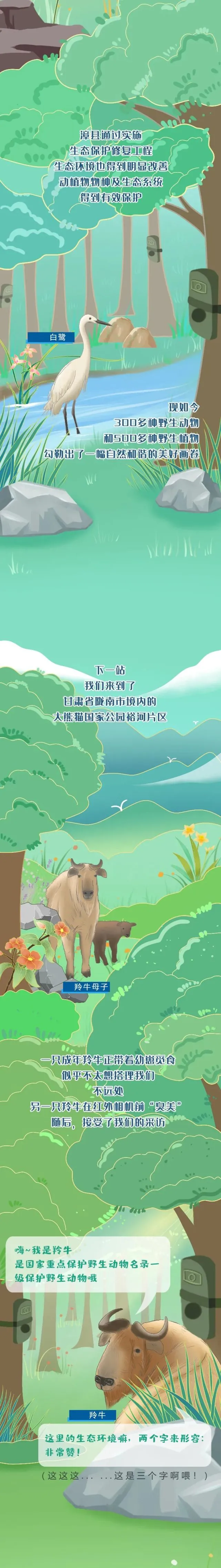 祁连山动物“出圈记” 宠它宠它宠它！