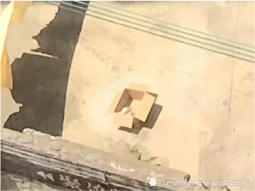 小猫被装在纸箱里抛弃，任由太阳暴晒，可怜它们还懵懂无知