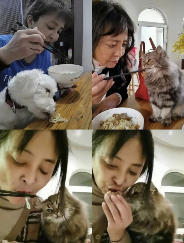 老戏骨李勤勤，与猫共食引争议！