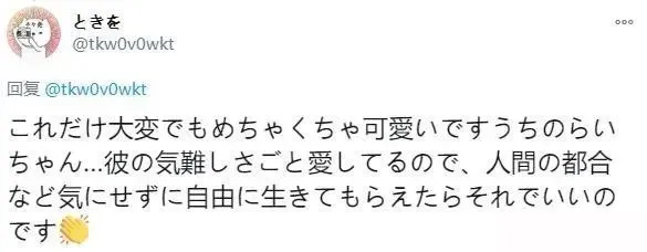 养猫超糟心？！妹纸说出一句话让众人沉默了！