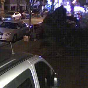 被主人亲手丢弃的猫咪，生病后极力挽留人类，生怕自己再次被抛弃