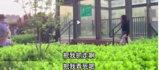 “我的孩子死了！”河北宠物狗女孩痛哭的背后，引发巨大争议……