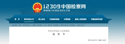 宠物狗纠缠两主人大打出手，一人用手电筒将对方打成轻伤，检方建议量刑一年