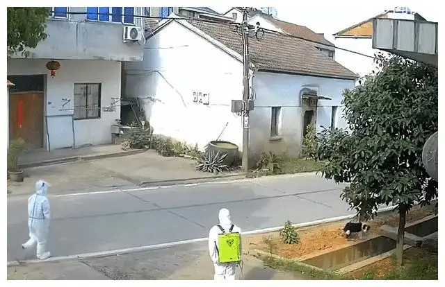 浙江一主人隔离留狗子独自看家，随后一幕让人笑哭：当志愿者了？