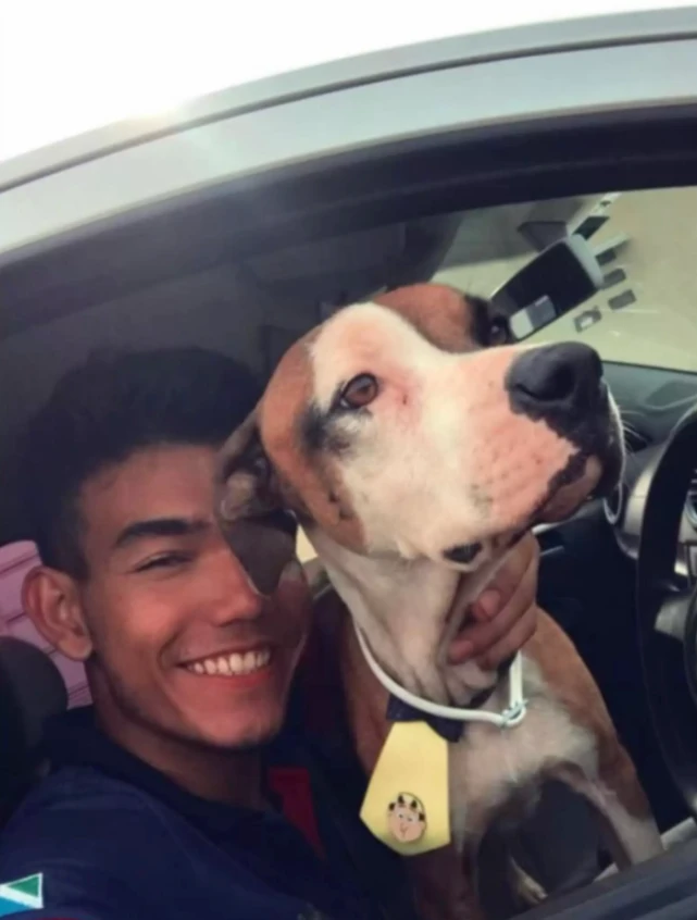 车被偷后警察帮找回：你家狗在车顶！男子懵了：可我没养狗啊！