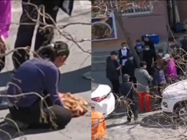 沈阳街头一未栓绳宠物狗被撞死，狗主人跪地大哭，目击者：司机为躲孩子