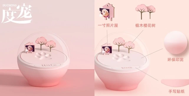 为什么有人会选择宠物火化？宠物遗体怎么处理？