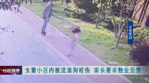 气温升高，当心“小可爱”们伤人