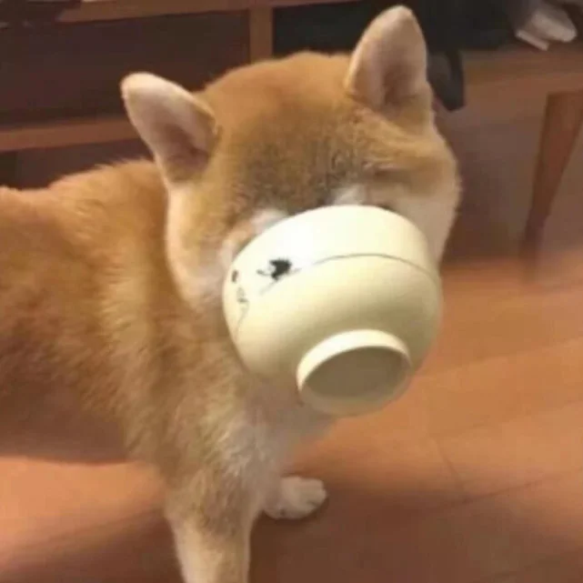 可爱头像｜一大波修勾来袭啦！