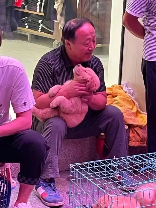 是谁口口声声说不让养的，可爱的修狗小喵谁能不爱！