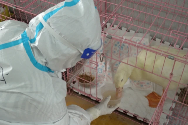 一评｜大白化身“铲屎官”，是抗疫中的暖心一幕