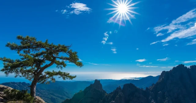 内心非常善良，不会过于强势，总是懂得将心比心的生肖