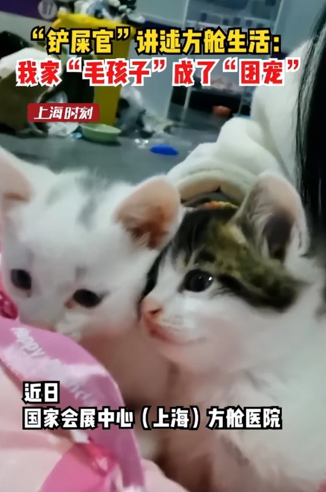 “铲屎官”带小奶猫进舱：我家“毛孩子”成了“团宠”