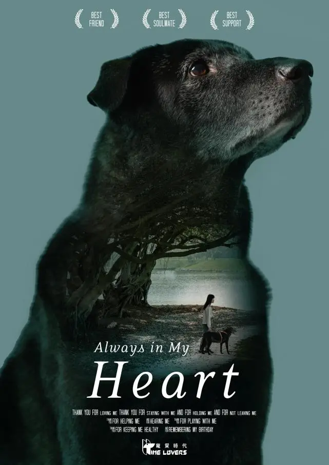 主人与宠物的故事