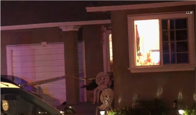 美国1岁女童大哭时突然被两条狗疯狂撕咬，母亲拿刀把狗全部杀死