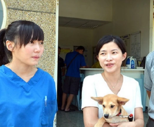 还记得“最美兽医”吗？安乐死700只狗，最后一针留给新婚的自己