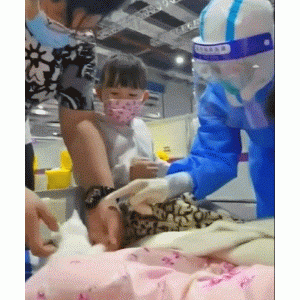 猫悟｜随着铲屎官一起入驻方舱的小猫咪，瞬间成为团宠，治愈了所有人