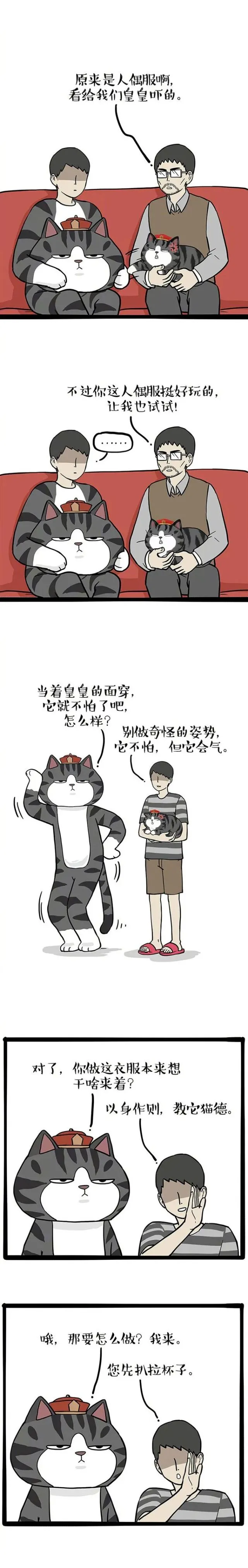 教育猫咪的方法～