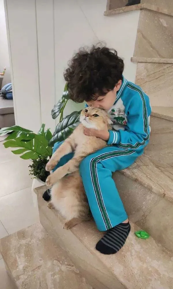 两孩子一放学就拉着猫要亲亲，搞得猫一脸的生无可恋！