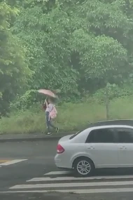 流浪狗受伤趴在雨中等死，这时一个12岁女孩出现了…结局超暖！