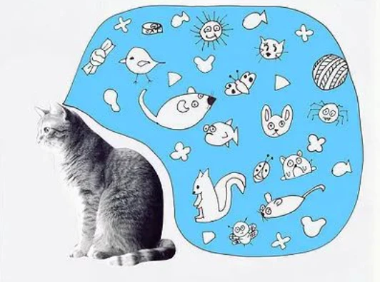 消失了一年的流浪猫带着4只小奶猫找上门，网友：一窝端！