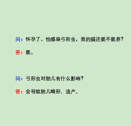 关于怀孕和猫咪弓形虫，你最关心的问题都在这里了