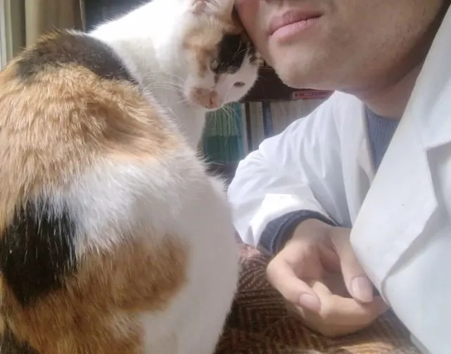 在华师，救助一只小猫需要多久？