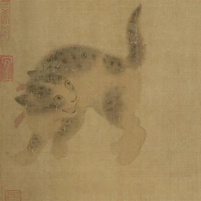 古人养猫得准备聘礼，关于猫的冷知识有这些
