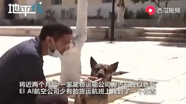 疫情下的人情冷暖：狗子连饿数天无人喂，好心人善举令我瞬间破防