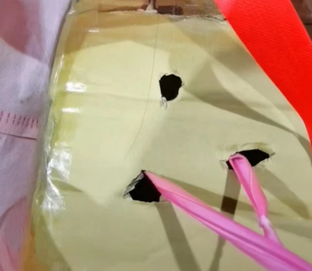在方舱，女孩与她救助的两只小猫一起“治愈”