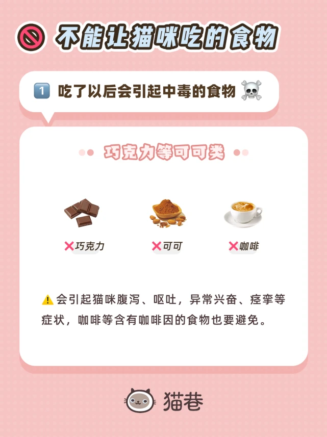 猫咪不能吃的三类人类食物