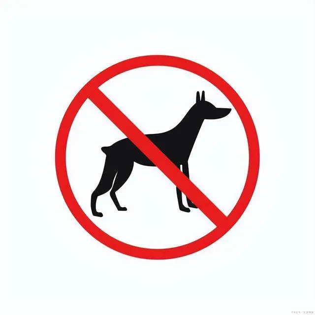 原来“犬中四煞”，已被城市禁养，怪不得养的人这么少