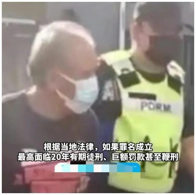 马来西亚一猫咪被63岁男子侵犯致死，网友：十二生肖快只剩下龙了