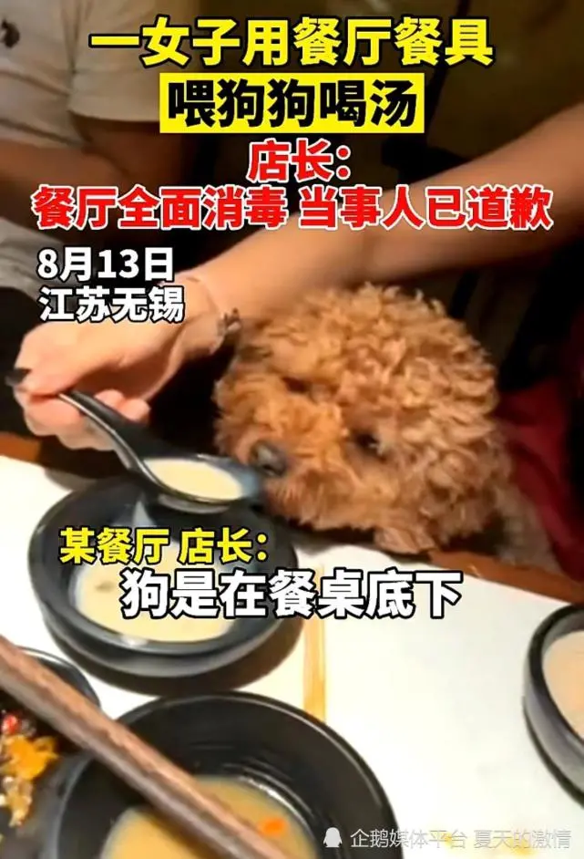江苏无锡，女子就餐时偷偷喂狗，发朋友圈走红：吃了牛肉喝了奶茶