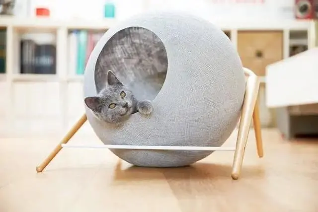 铲屎官养猫交过的“智商税”：花里胡哨的猫窝