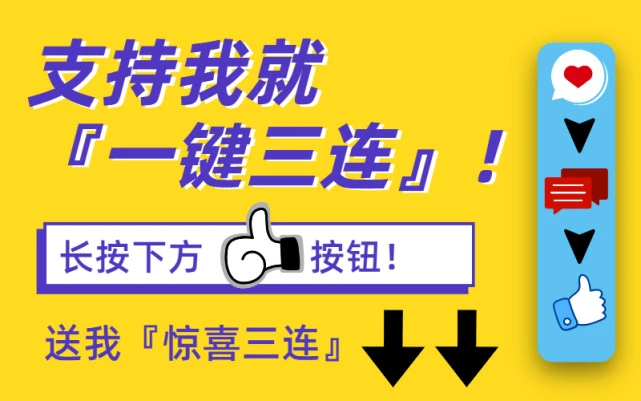 孕猫护理指南，铲屎官一定要收好哦！