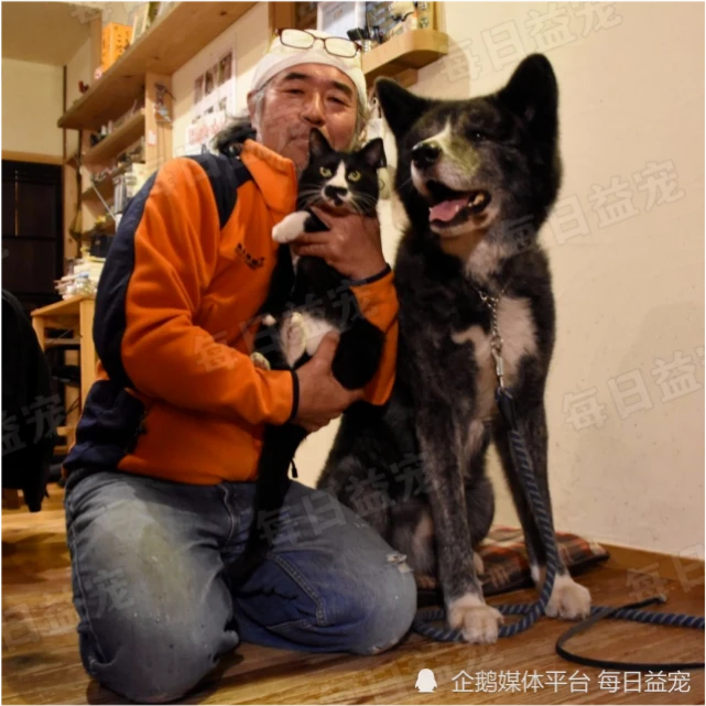 迷路猫咪蹲家门口，主人带回家后发现，和家里的狗狗长得一样
