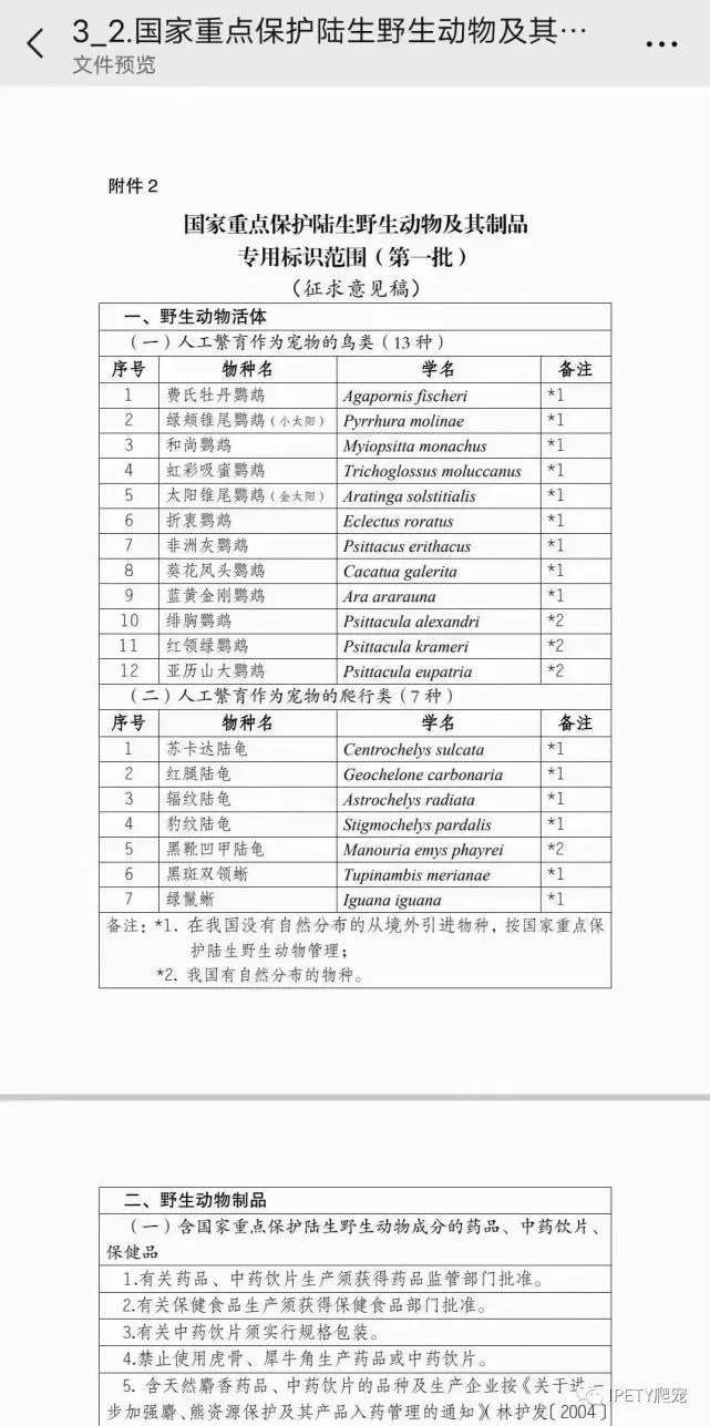 辐射陆龟竟然上榜开放？难道又是虚晃一枪？