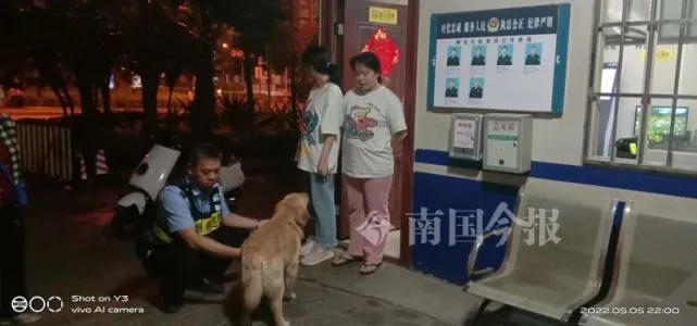 这只金毛的主人，柳州110喊你来领“毛孩子”！