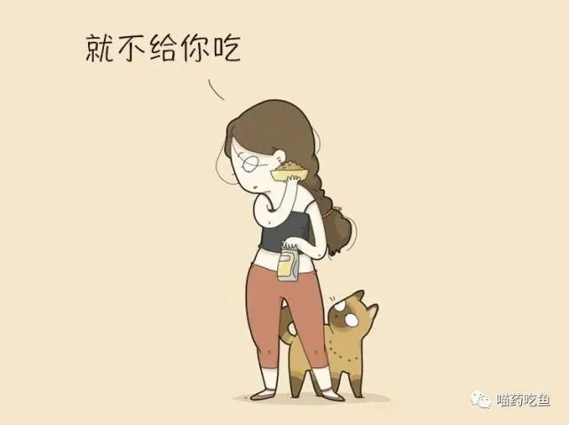猫为什么要用身体磨蹭你？原来猫的行为里隐藏着不为人知的秘密