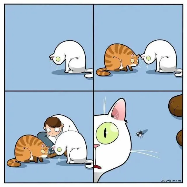 插画家绘制“猫咪漫画”，网友：又想骗我养猫，门儿都没有