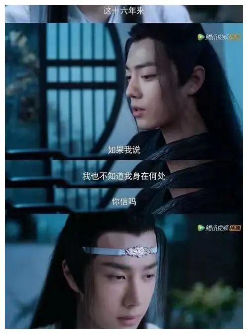 如果魏无羡知道蓝忘机为他做了多少，是不是他会选择留下来？