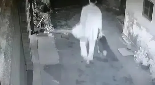 带爱犬出门，遭陌生黑狗一路尾随！他多次发狠将其赶跑