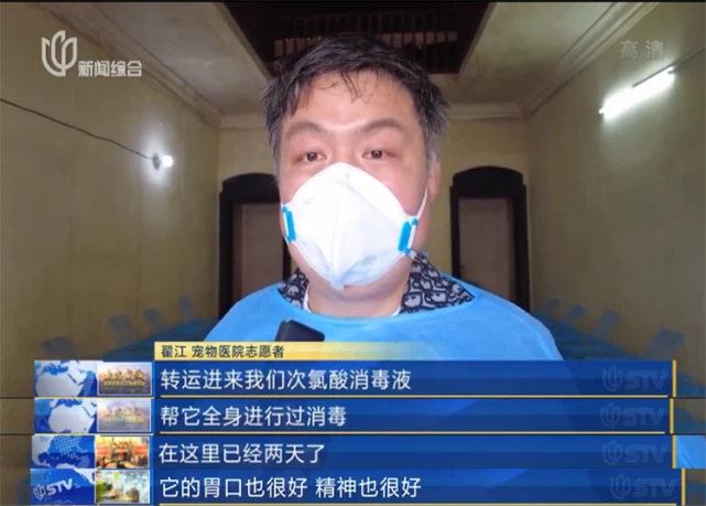 有着落了！上海首个“动物方舱”建在疫情最严重的这里