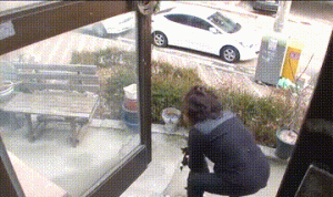 流浪猫挺着大肚子闯进网友家门求助，网友发现真相后，立马这样做