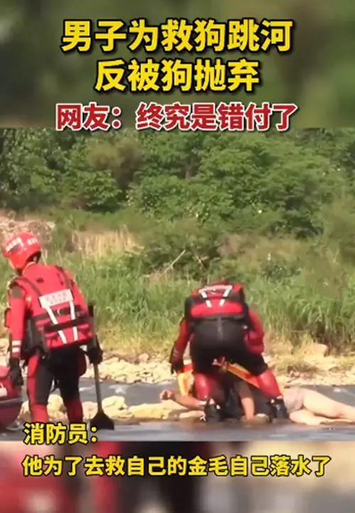 金毛不小心掉入河里，男子跳进水中相救，随后却满头问号了