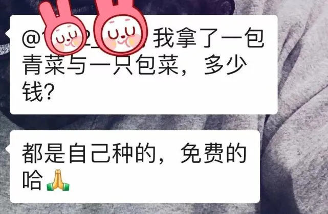 遇上这样的“奇葩邻居”，日子过得那叫一个憋屈，看着就糟心