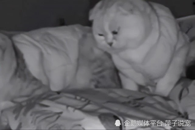 监控拍到“鬼压床”，看完摄像后，主人舒了一口气：虚惊一场