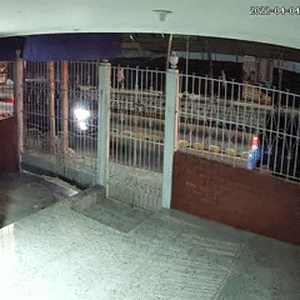 狗狗走失一周后自己跑回家，全家人看到它时的反应……这也太好哭了！